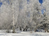 Пискунова Елизавета 2 место