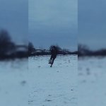 de2873f6-8a6d-4a30-943e-6248e0c5e665